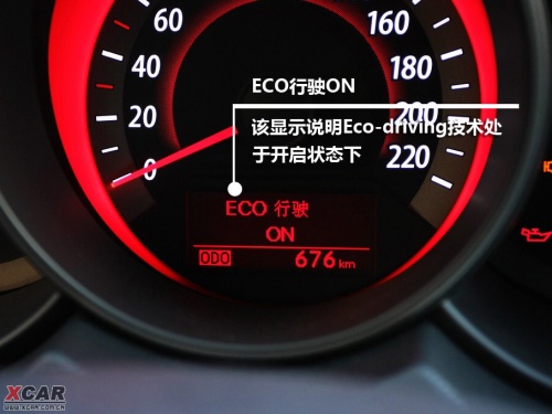 福瑞迪