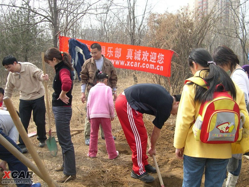 2006年植树图片