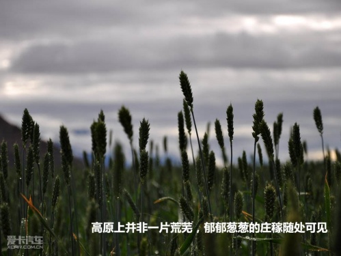 极致之旅