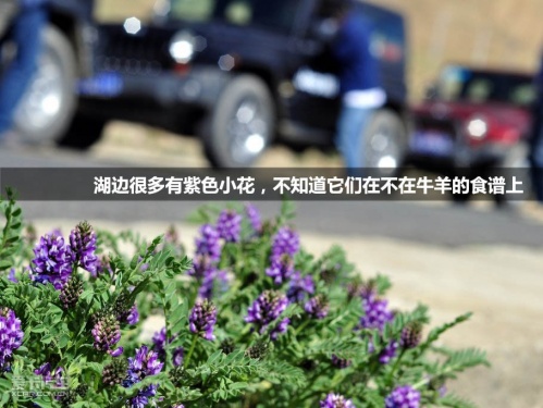 极致之旅