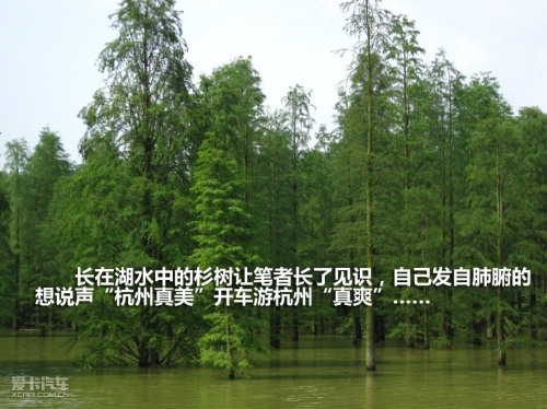 翼神