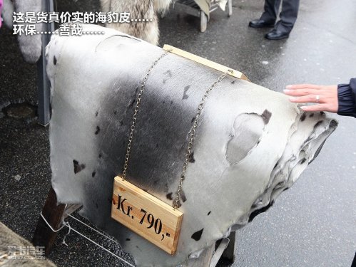 挪威卑尔根游记