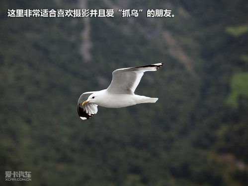挪威卑尔根游记