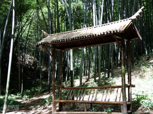 2010宝马X之旅 蜀南竹海