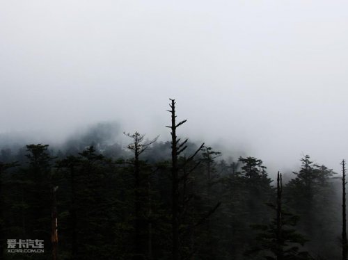 2010宝马X之旅 峨眉山