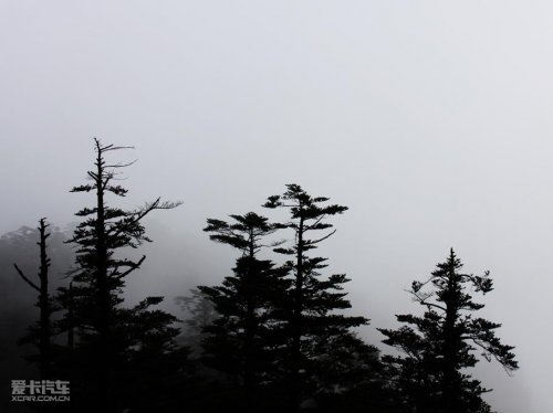 2010宝马X之旅 峨眉山