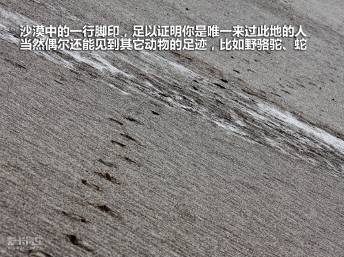 讴歌 10款讴歌MDX