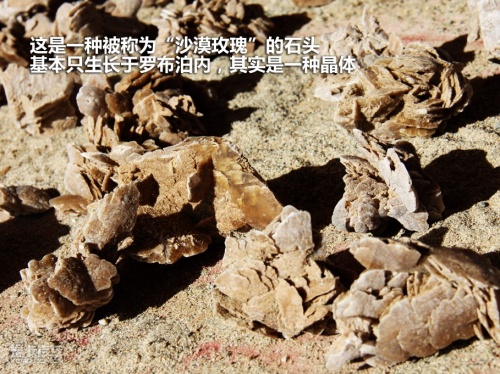 讴歌 10款讴歌MDX