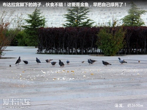 朝圣珠峰之旅