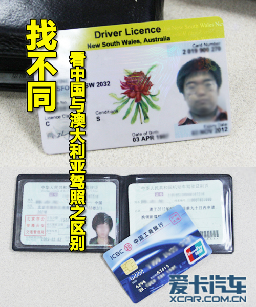 driver licence